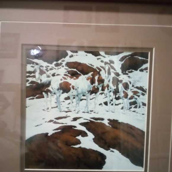 Pinto prints by bev doolittle one of the thousand - Picture 2 of 3